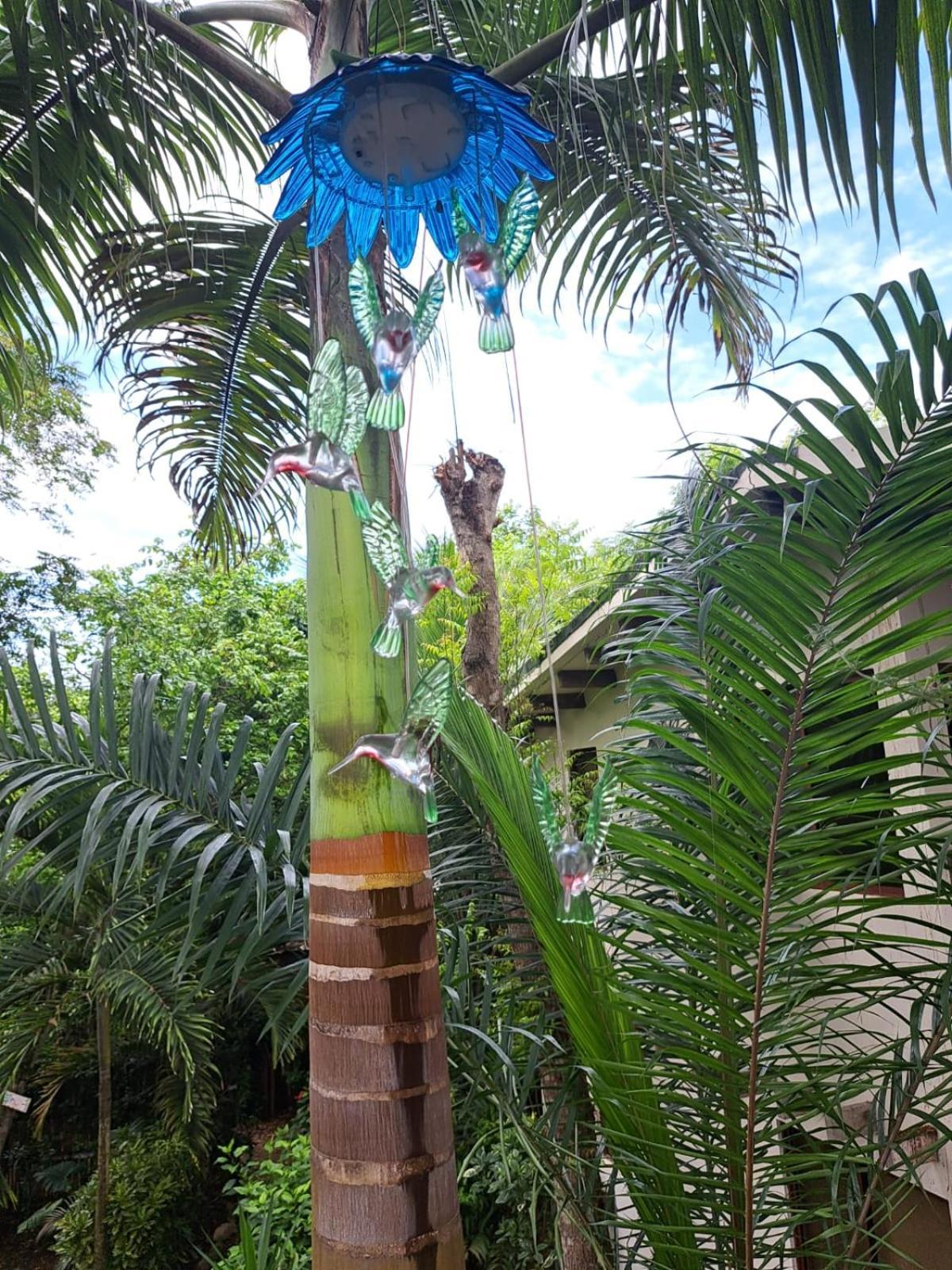 Spondylus Lodge Ayampe Extérieur photo